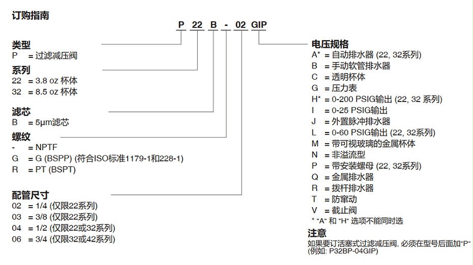 ASCO P22BG04AG过滤器